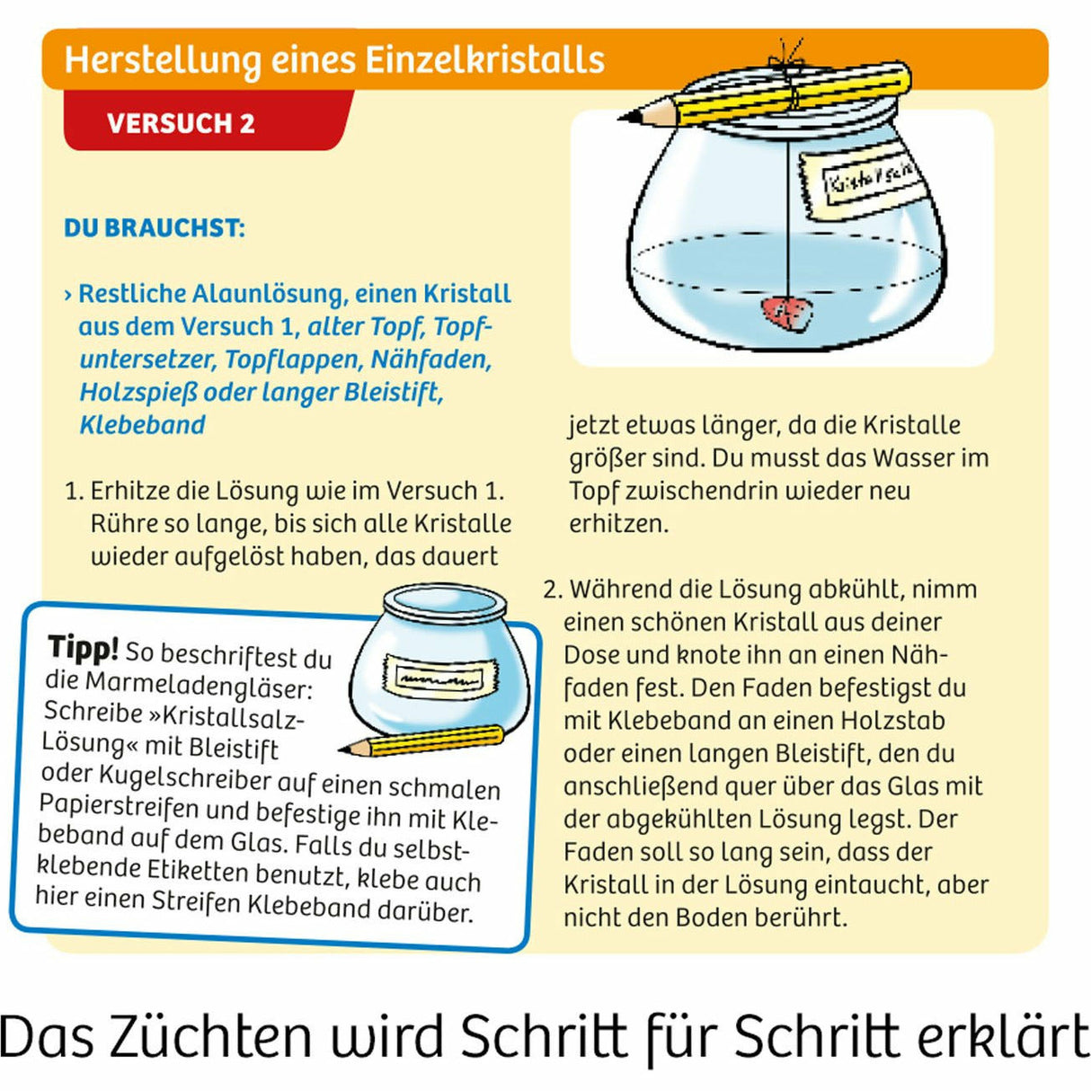 Blaue Kristalle selbst züchten