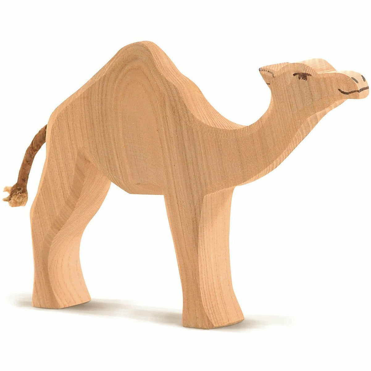 Ostheimer | Dromedar