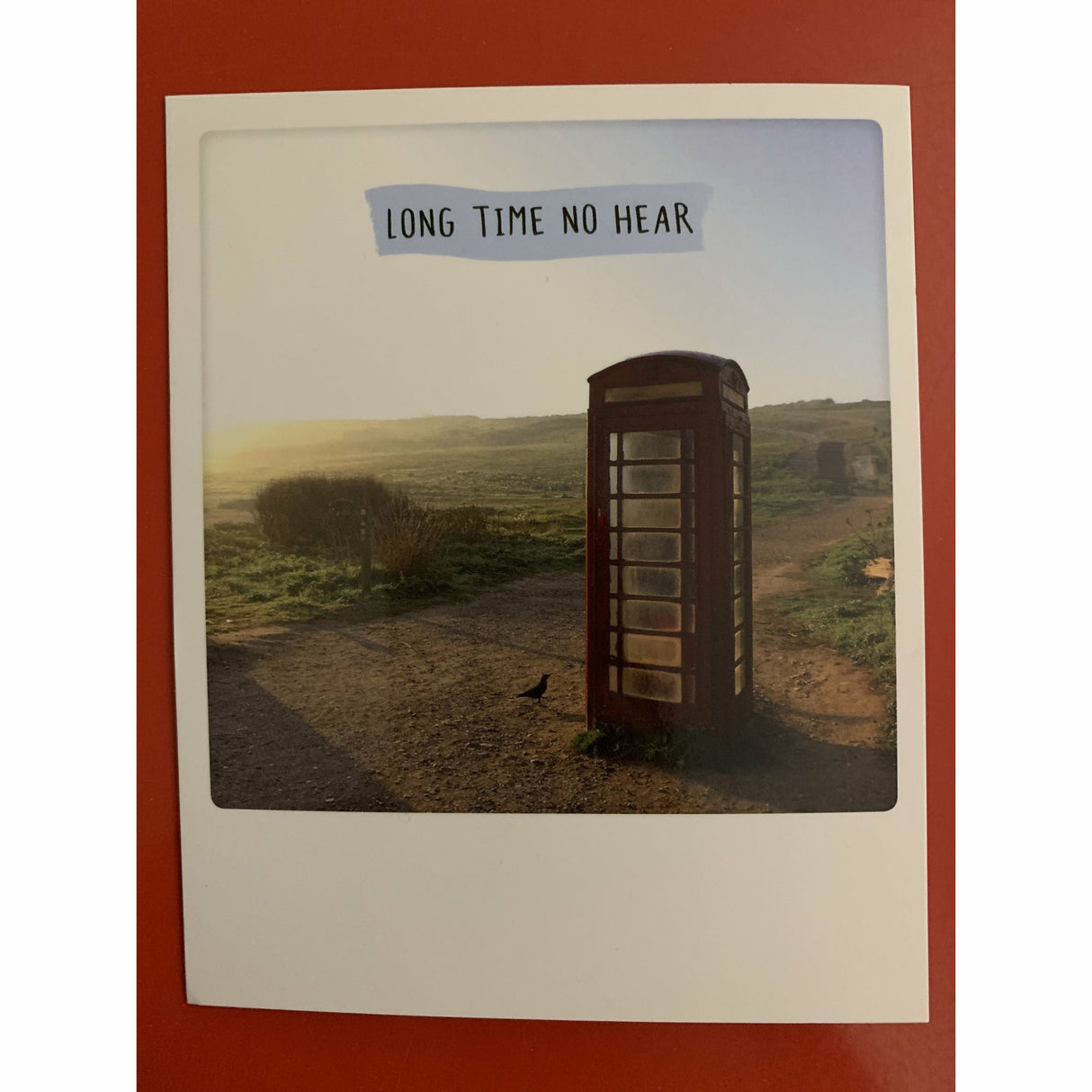 long time no see @CAT_GERICKE