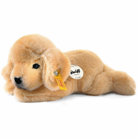 Lumpi Golden Retriever Welpe 22 liegend