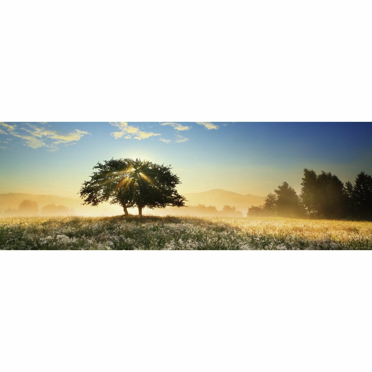 Play of Light - Puzzle - 1000 Teile