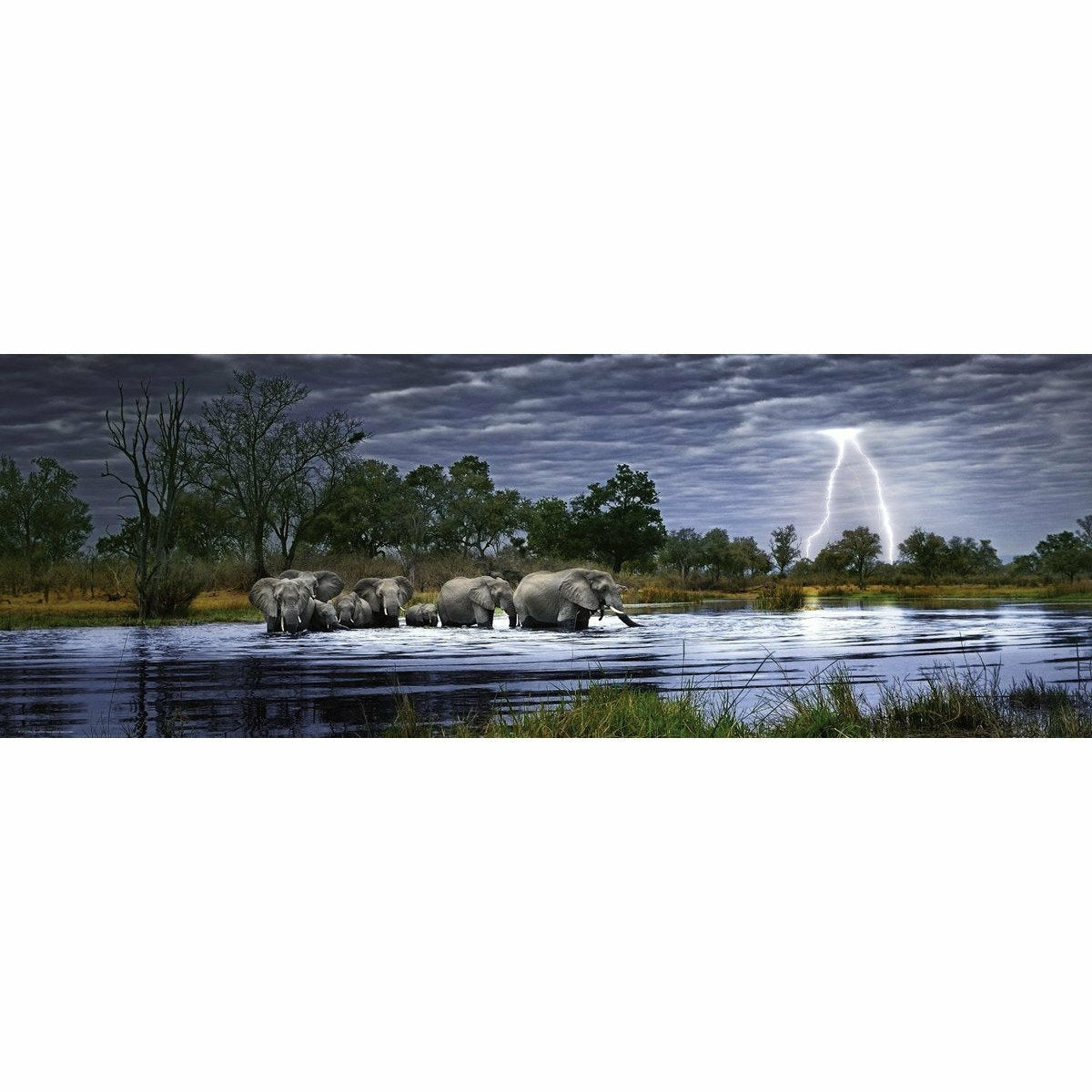 Herd of Elephants - Puzzle - 2000 Teile