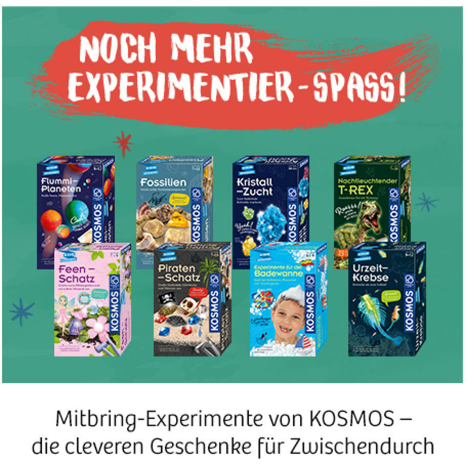 KOSMOS | Ritter-Schatz