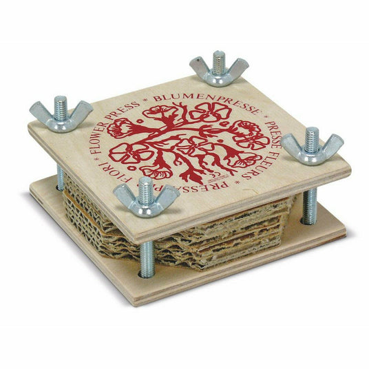 Glückskäfer | Blumenpresse 10 x 10 cm