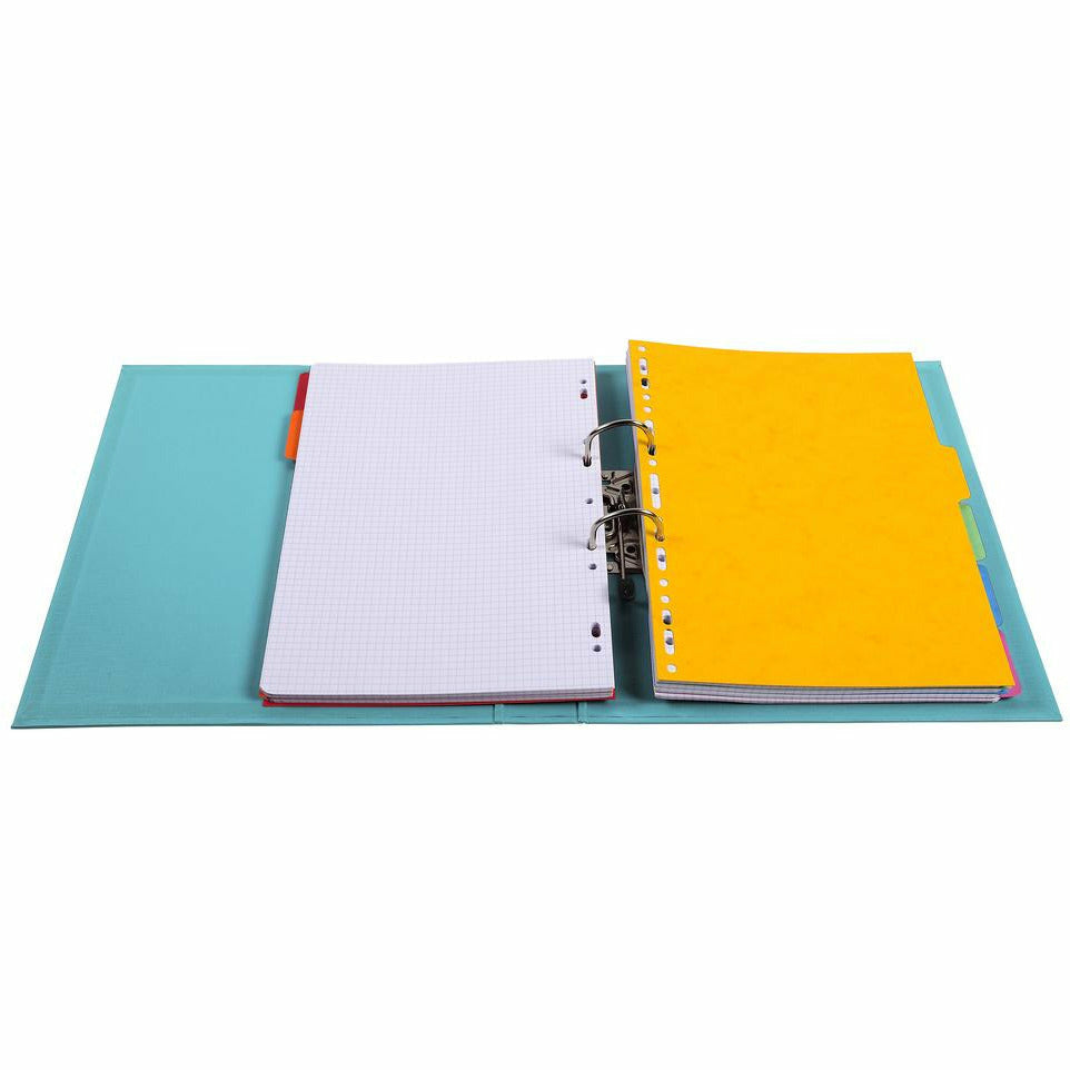 Ordner A4 PVC 50mm hellgrün