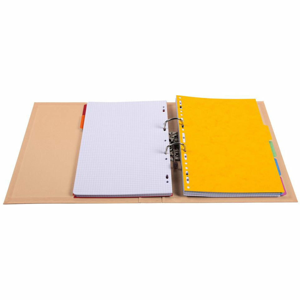 Ordner A4 PVC 50mm lachs