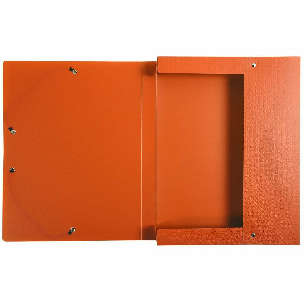 Archivbox Opak PP 25mm sortiert