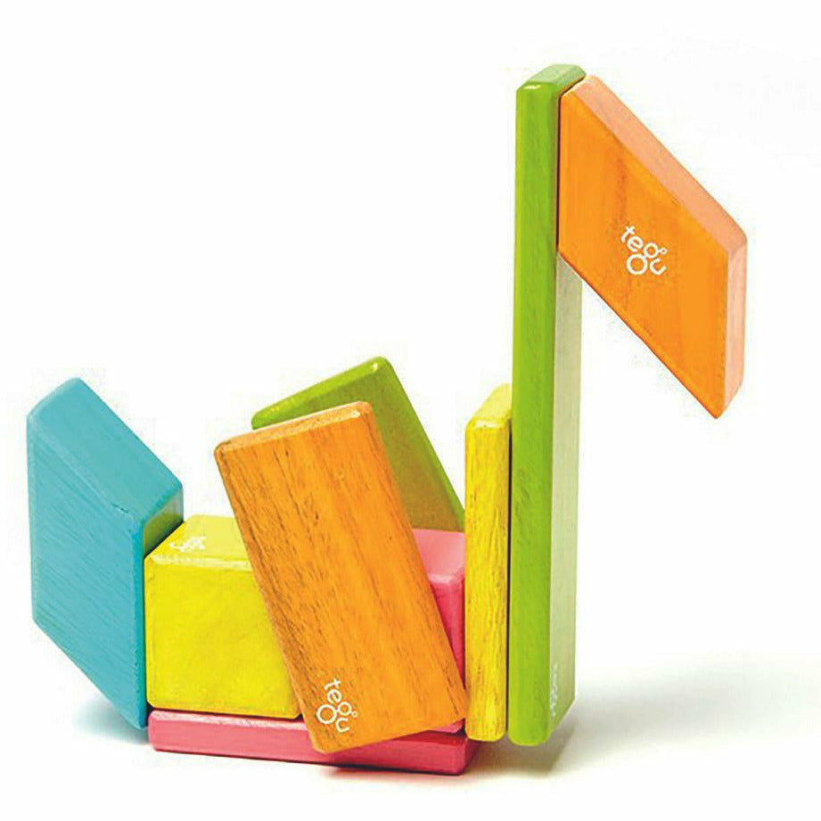 14 Magnetische Holzbausteine bunt