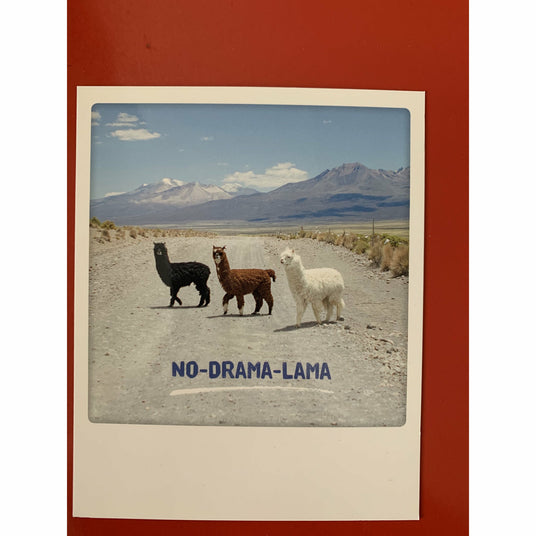 no drama lama