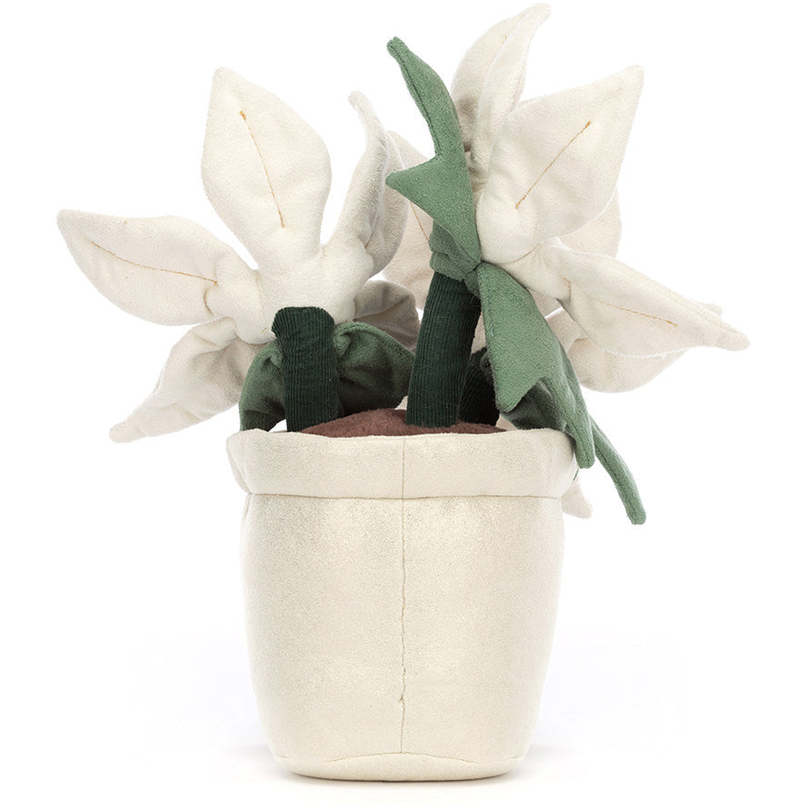 Jellycat | Amuseable Gold Poinsettia