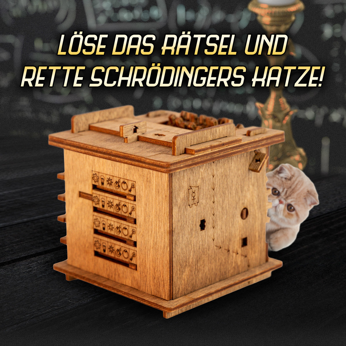 Cluebox | Escape Room in einer Box | Schrödingers Katze