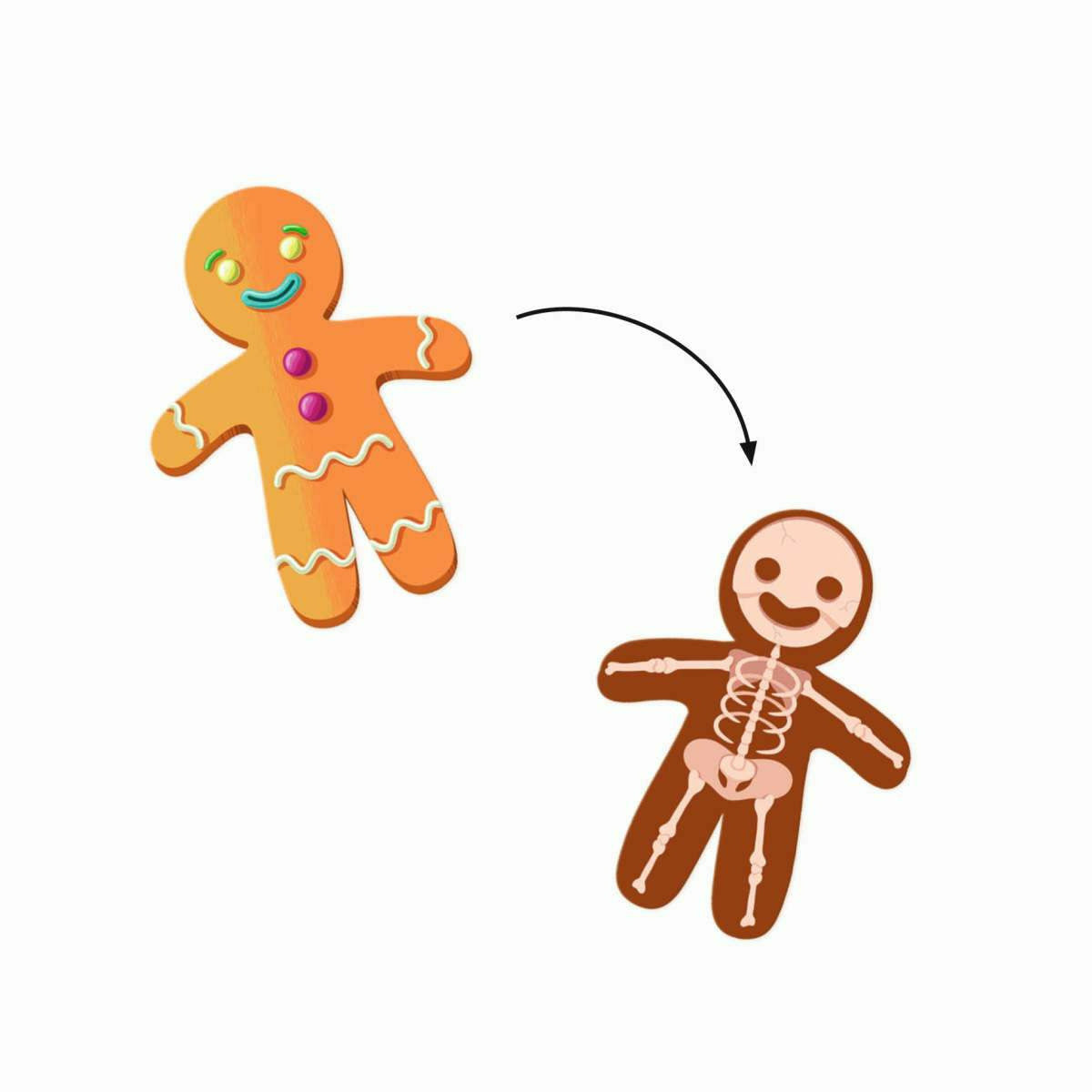 Djeco | Sticker: Röntgenstrahlen