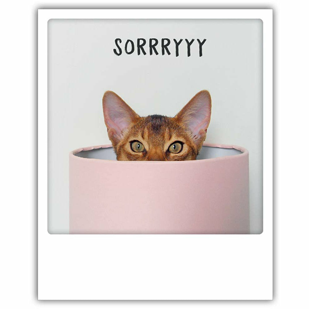 Postkarte | sorrryyy