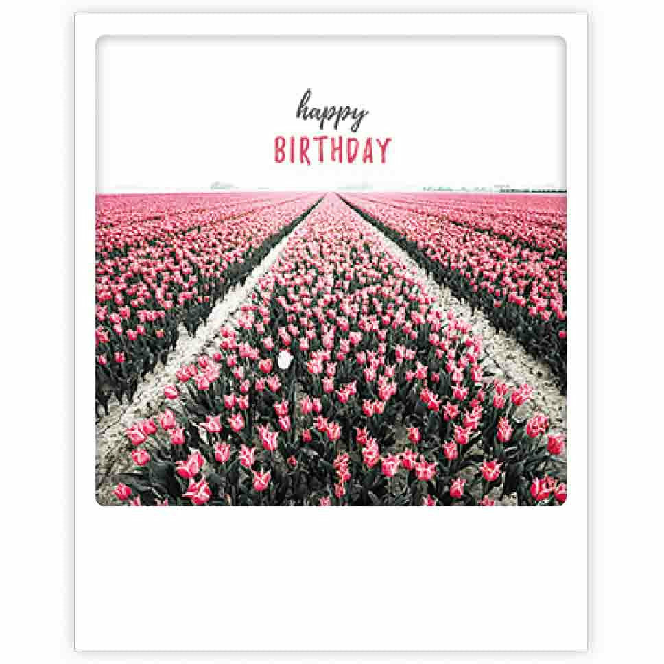 Postkarte | zum geburtstag