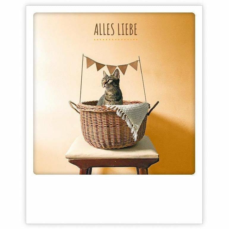 Postkarte | alles liebe katze