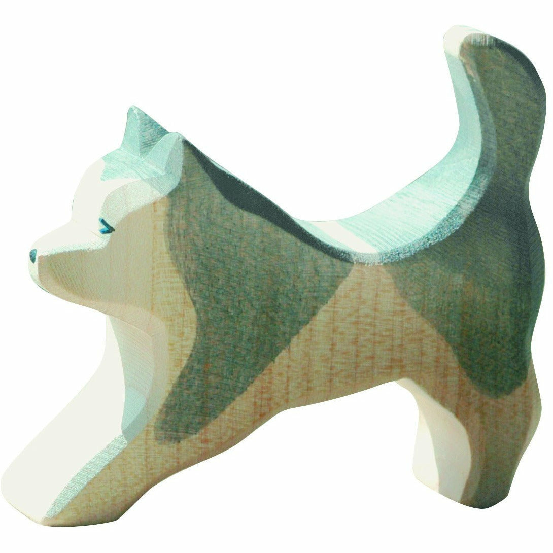 Ostheimer | Schlittenhund laufend