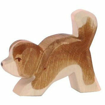 Ostheimer | Bernhardiner klein Kopf tief