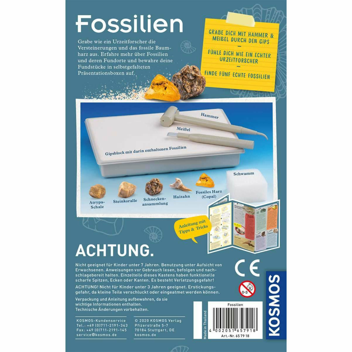 KOSMOS | Fossilien