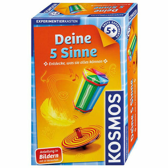 Deine 5 Sinne