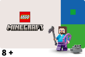 LEGO® Minecraft