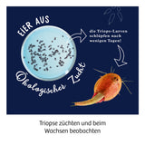 KOSMOS | Fun Science Triops züchten
