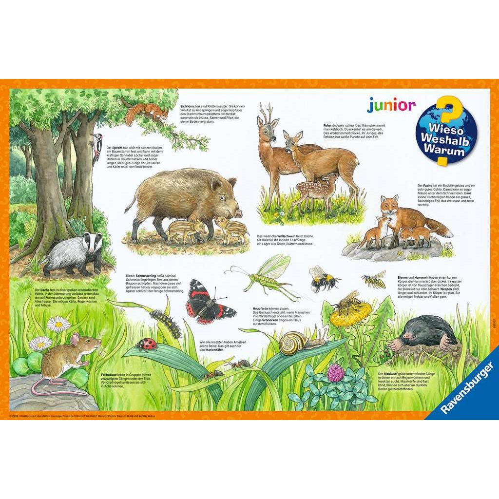 Ravensburger | Wieso? Weshalb? Warum? Tiere im Wald und auf der Wiese