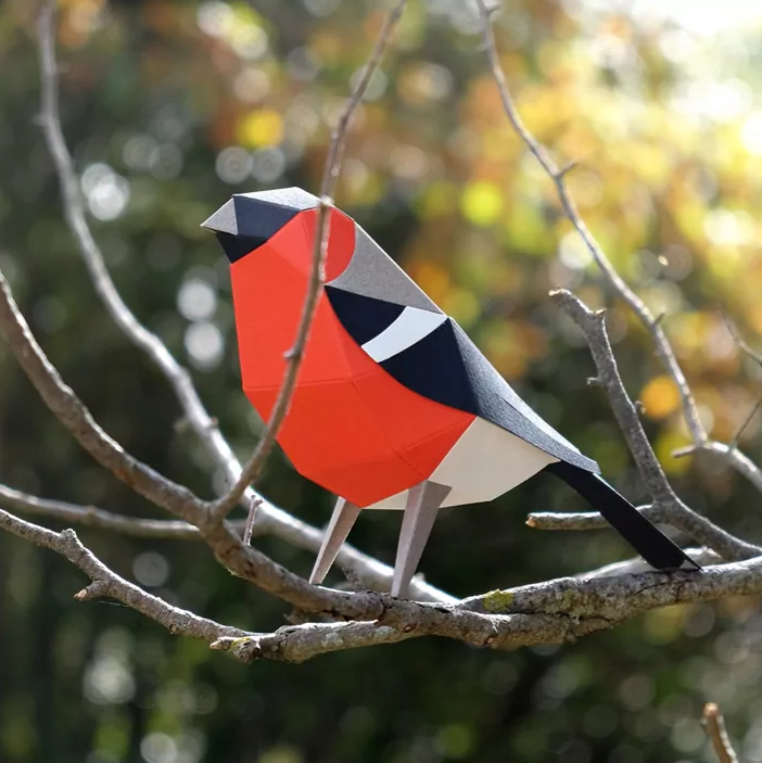PLEGO - PYRRHULA PYRRHULA - Papiervogel