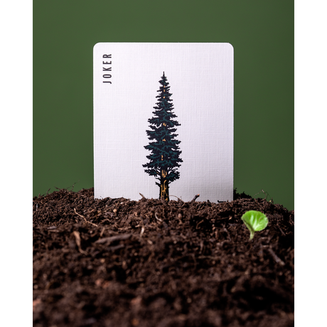 Art of Play | Spielkarten | Smokey Bear