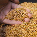 TicToys | Binabo (60 Chips)