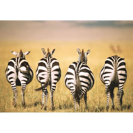 Ravensburger | Zebra
