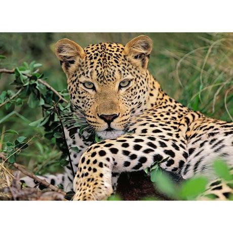 Ravensburger | Vio die Leopardin | Kinderpuzzle | 100 XXL Teile