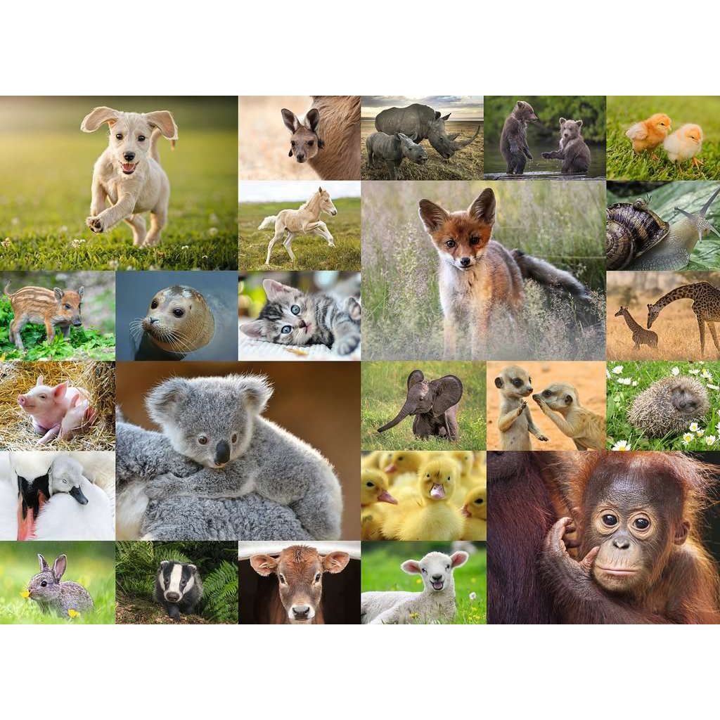 Ravensburger | Süße Tierbabys | Kinderpuzzle | 200 XXL Teile