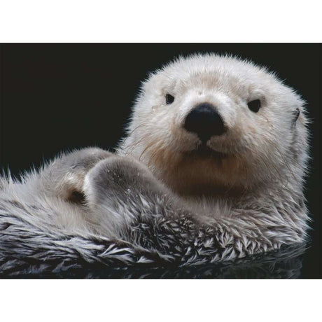 Ravensburger | Süßer kleiner Otter