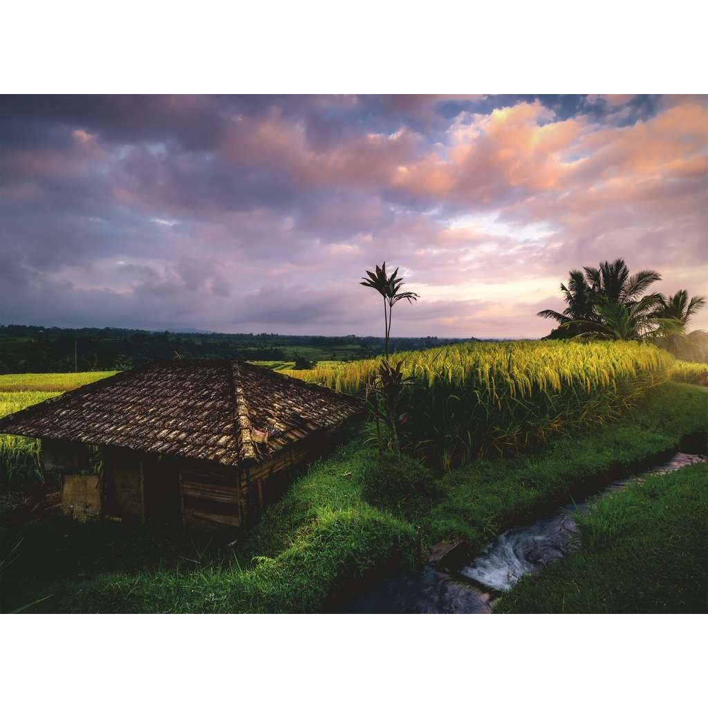 Ravensburger | Reisfelder im Norden von Bali