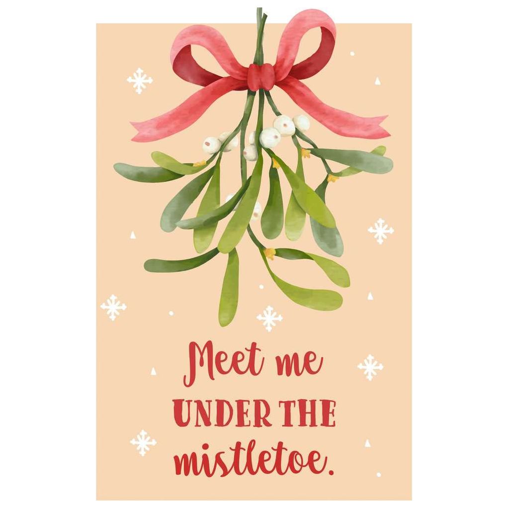 Ravensburger | Meet me under the mistletoe