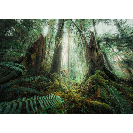 Ravensburger | Faszinierender Wald