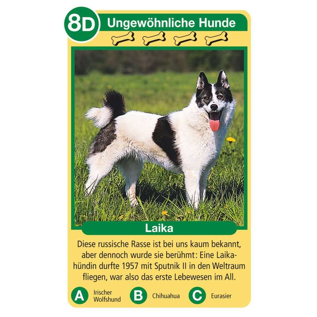 Ravensburger | Hunde