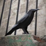 PLEGO - CORVUS CORAX - Rabe - Papiervogel