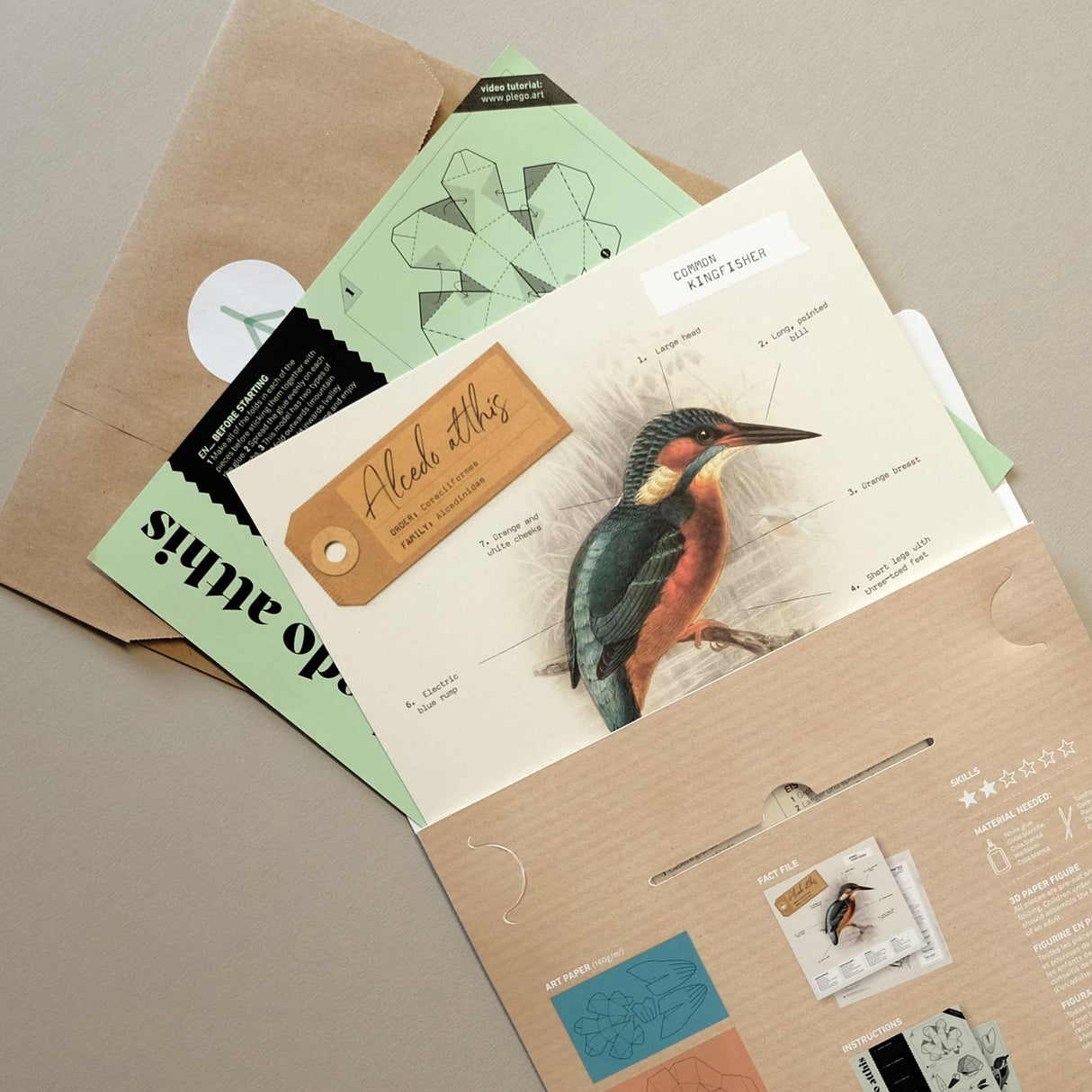 PLEGO - ALCEDO ATTHIS - Eisvogel - Papiervogel