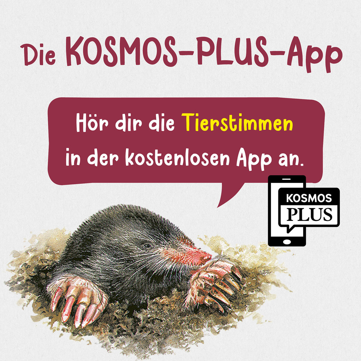 KOSMOS | Kindernaturführer Was lebt im Garten?