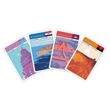 Brain Games | QuizWiz