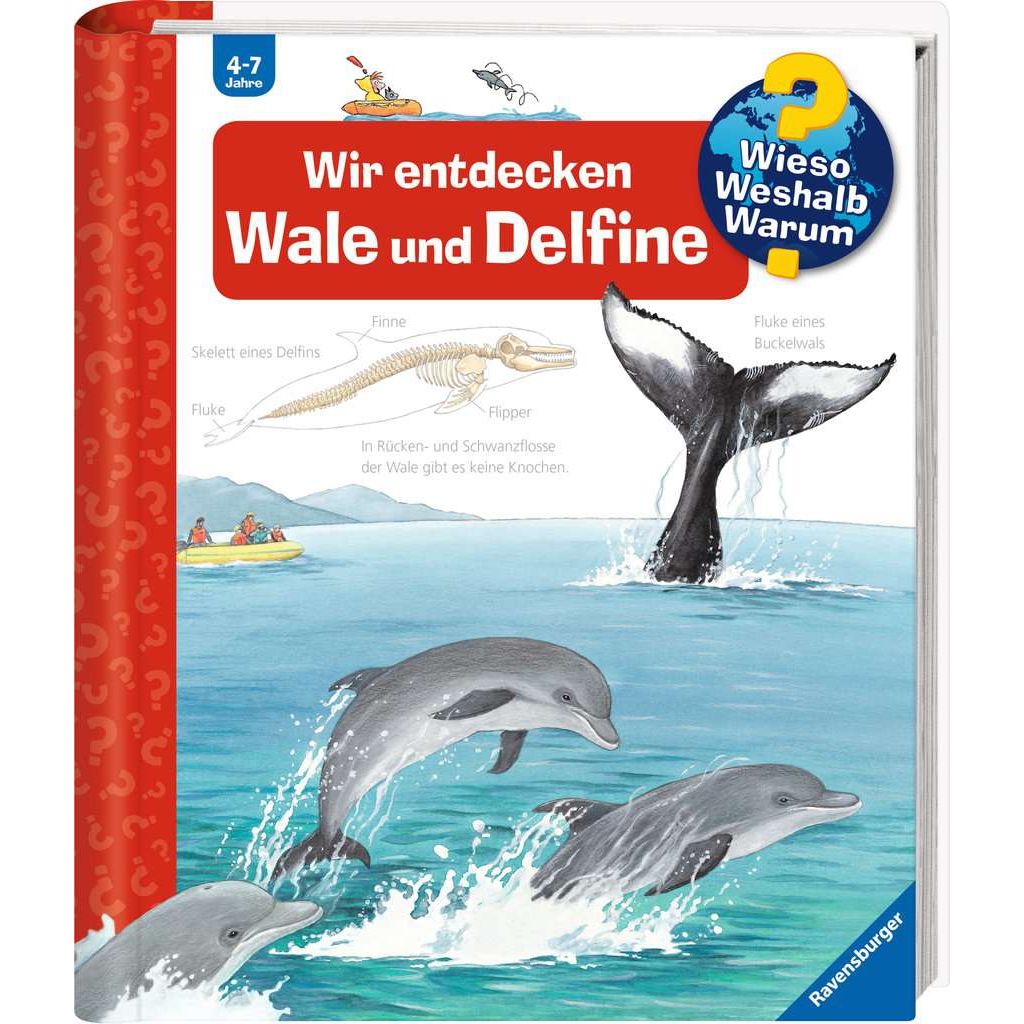 Ravensburger | Wieso? Weshalb? Warum?, Band 41: Wir entdecken Wale und Delfine