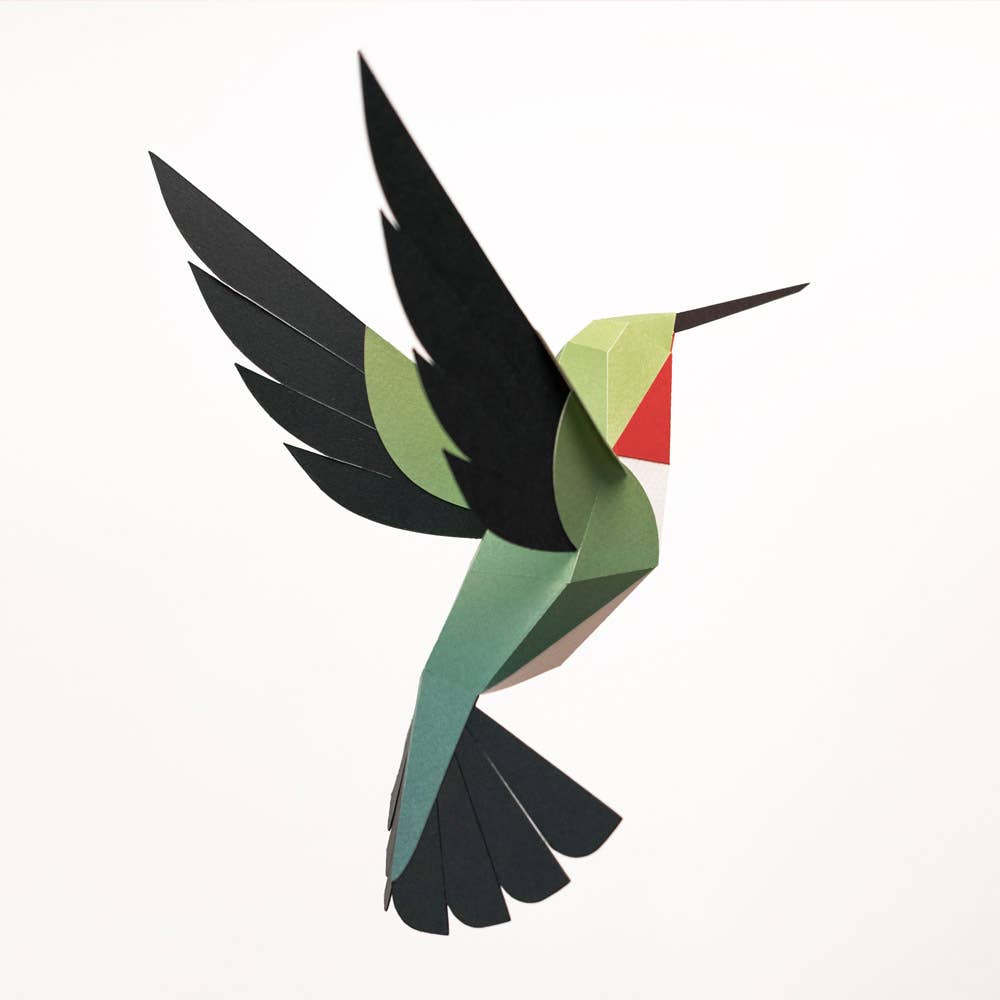 PLEGO - SELASPHORUS PLATYCERCUS - Papiervogel