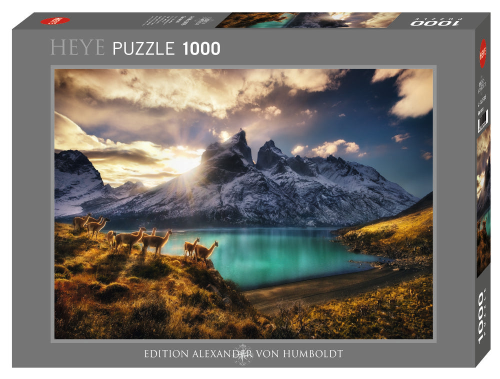 Heye Puzzle | Guanacos | 1000 Teile