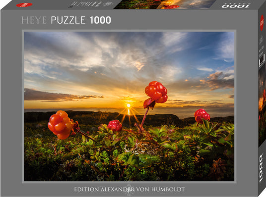 Heye Puzzle | Cloudberries | 1000 Teile