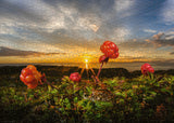 Heye Puzzle | Cloudberries | 1000 Teile