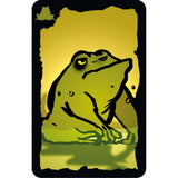 Schmidt Spiele | Kakerlakenpoker