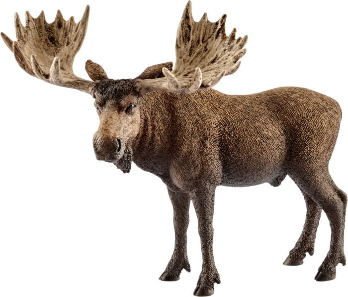 Schleich | Elch Bulle | 14781