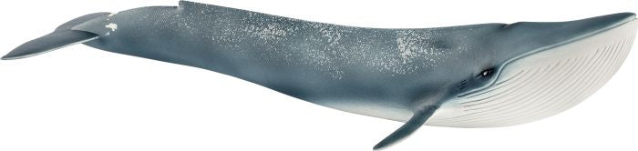 Schleich | Blauwal | 14806