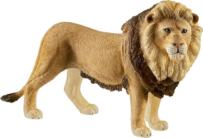 Schleich | Löwe | 14812